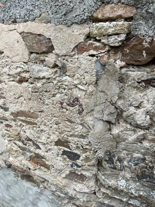 Maisonnette De Pecheur L'Aubraie Buitenkant foto